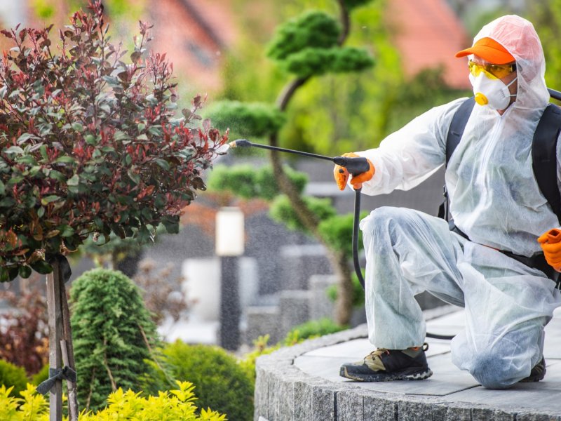 Keçiören Haşere İlaçlama